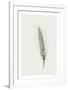 Wavering Wheat - Single-Hilary Armstrong-Framed Limited Edition