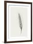 Wavering Wheat - Single-Hilary Armstrong-Framed Limited Edition