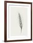 Wavering Wheat - Single-Hilary Armstrong-Framed Limited Edition