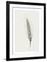 Wavering Wheat - Single-Hilary Armstrong-Framed Limited Edition