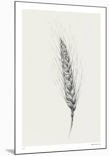 Wavering Wheat - Single-Hilary Armstrong-Mounted Limited Edition