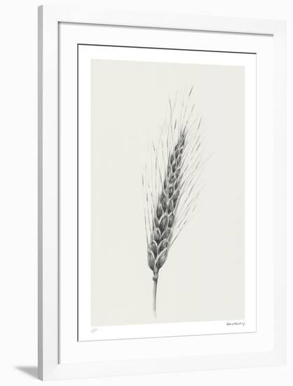 Wavering Wheat - Solo-Hilary Armstrong-Framed Limited Edition