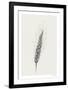 Wavering Wheat - Solo-Hilary Armstrong-Framed Limited Edition