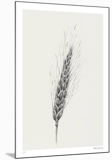 Wavering Wheat - Solo-Hilary Armstrong-Mounted Limited Edition