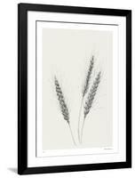 Wavering Wheat - Trio-Hilary Armstrong-Framed Limited Edition