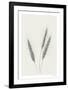 Wavering Wheat - Trio-Hilary Armstrong-Framed Limited Edition