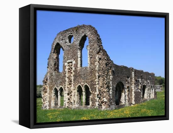 Waverley Abbey, Near Farnham, Surrey, England, United Kingdom, Europe-Rolf Richardson-Framed Stretched Canvas