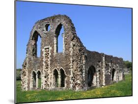 Waverley Abbey, Near Farnham, Surrey, England, United Kingdom, Europe-Rolf Richardson-Mounted Photographic Print