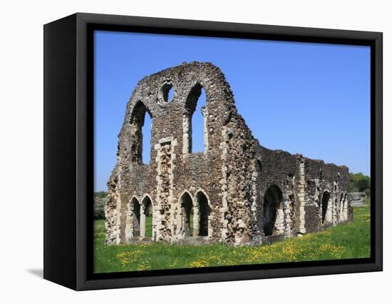 Waverley Abbey, Near Farnham, Surrey, England, United Kingdom, Europe-Rolf Richardson-Framed Stretched Canvas