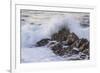 Waves Along the Coast, Montana de Oro SP, Los Osos, California-Rob Sheppard-Framed Photographic Print