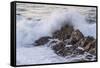 Waves Along the Coast, Montana de Oro SP, Los Osos, California-Rob Sheppard-Framed Stretched Canvas