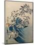 Waves and Birds, circa 1825-Katsushika Hokusai-Mounted Giclee Print