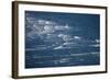 Waves at the Avon and Heathcote Rivers, Christchurch, New Zealand.-David Wall-Framed Photographic Print