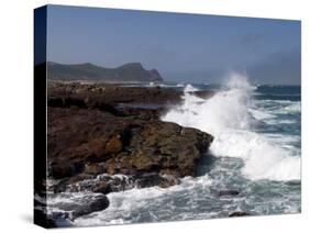 Waves at the Cape of the Good Hope, Cape of the Good Hope, Capetown, South Africa-Thorsten Milse-Stretched Canvas