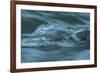 Waves Beating On Log-Anthony Paladino-Framed Giclee Print