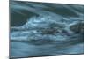 Waves Beating On Log-Anthony Paladino-Mounted Giclee Print