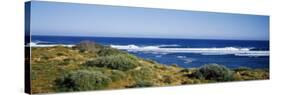 Waves Breaking on the Beach, Western Australia, Australia-null-Stretched Canvas