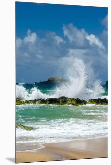 Waves Breaking on the Rocks at Kauapea Beach, Kauai, Hawaii, USA-Richard Duval-Mounted Premium Photographic Print