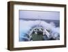 Waves Breaking over the Bow of a Ship-DLILLC-Framed Photographic Print