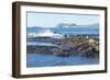 Waves Breaking-G and M Therin-Weise-Framed Photographic Print