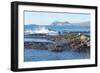 Waves Breaking-G and M Therin-Weise-Framed Photographic Print