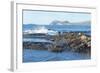 Waves Breaking-G and M Therin-Weise-Framed Photographic Print