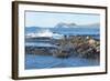 Waves Breaking-G and M Therin-Weise-Framed Photographic Print