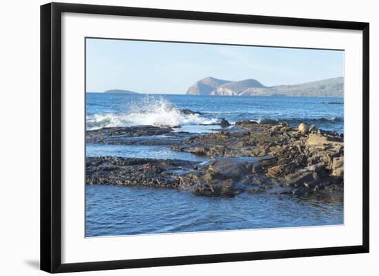 Waves Breaking-G and M Therin-Weise-Framed Photographic Print