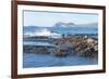 Waves Breaking-G and M Therin-Weise-Framed Photographic Print