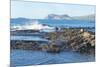 Waves Breaking-G and M Therin-Weise-Mounted Photographic Print