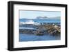 Waves Breaking-G and M Therin-Weise-Framed Photographic Print