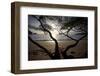 Waves Crash on the Shores of Playa Manuel Antonio, Manuel Antonio National Park, Costa Rica-Adam Barker-Framed Photographic Print