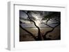 Waves Crash on the Shores of Playa Manuel Antonio, Manuel Antonio National Park, Costa Rica-Adam Barker-Framed Photographic Print