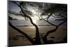 Waves Crash on the Shores of Playa Manuel Antonio, Manuel Antonio National Park, Costa Rica-Adam Barker-Mounted Photographic Print