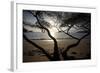 Waves Crash on the Shores of Playa Manuel Antonio, Manuel Antonio National Park, Costa Rica-Adam Barker-Framed Photographic Print