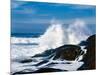 Waves crashing against rocks at Pirate Cove, Oregon Coast, Lincoln County, Oregon, USA-null-Mounted Photographic Print