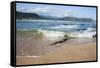 Waves Crashing Ashore at Nature Valley Beach-Kim Walker-Framed Stretched Canvas