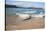 Waves Crashing Ashore at Nature Valley Beach-Kim Walker-Stretched Canvas
