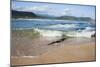 Waves Crashing Ashore at Nature Valley Beach-Kim Walker-Mounted Photographic Print