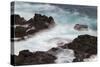 Waves crashing over lava rocks on shoreline of Espanola Island, Galapagos Islands, Ecuador.-Adam Jones-Stretched Canvas