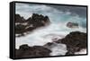 Waves crashing over lava rocks on shoreline of Espanola Island, Galapagos Islands, Ecuador.-Adam Jones-Framed Stretched Canvas