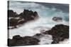 Waves crashing over lava rocks on shoreline of Espanola Island, Galapagos Islands, Ecuador.-Adam Jones-Stretched Canvas