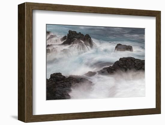 Waves crashing over lava rocks on shoreline of Espanola Island, Galapagos Islands, Ecuador.-Adam Jones-Framed Photographic Print