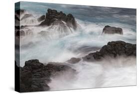 Waves crashing over lava rocks on shoreline of Espanola Island, Galapagos Islands, Ecuador.-Adam Jones-Stretched Canvas