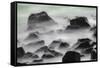 Waves crashing over lava rocks on shoreline of Espanola Island, Galapagos Islands, Ecuador.-Adam Jones-Framed Stretched Canvas