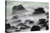 Waves crashing over lava rocks on shoreline of Espanola Island, Galapagos Islands, Ecuador.-Adam Jones-Stretched Canvas