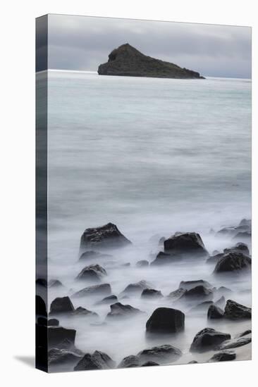 Waves crashing over lava rocks on shoreline of Espanola Island, Galapagos Islands, Ecuador.-Adam Jones-Stretched Canvas