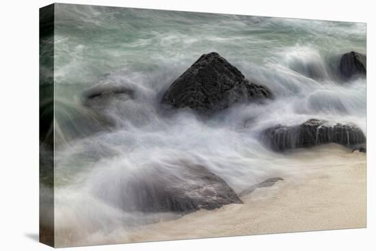 Waves crashing over lava rocks on shoreline of Espanola Island, Galapagos Islands, Ecuador.-Adam Jones-Stretched Canvas