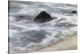 Waves crashing over lava rocks on shoreline of Espanola Island, Galapagos Islands, Ecuador.-Adam Jones-Stretched Canvas