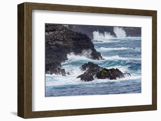 Waves crashing over lava rocks on shoreline of Espanola Island, Galapagos Islands, Ecuador.-Adam Jones-Framed Photographic Print